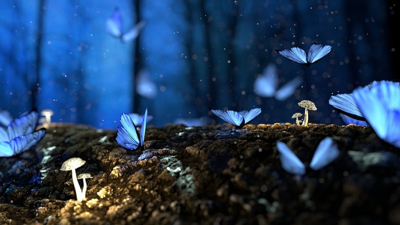 Enchanted Forest Themes